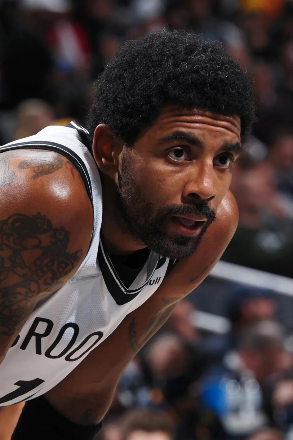 出色的表现 出色的表现