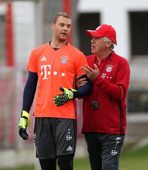 更是全球体 更是全球体