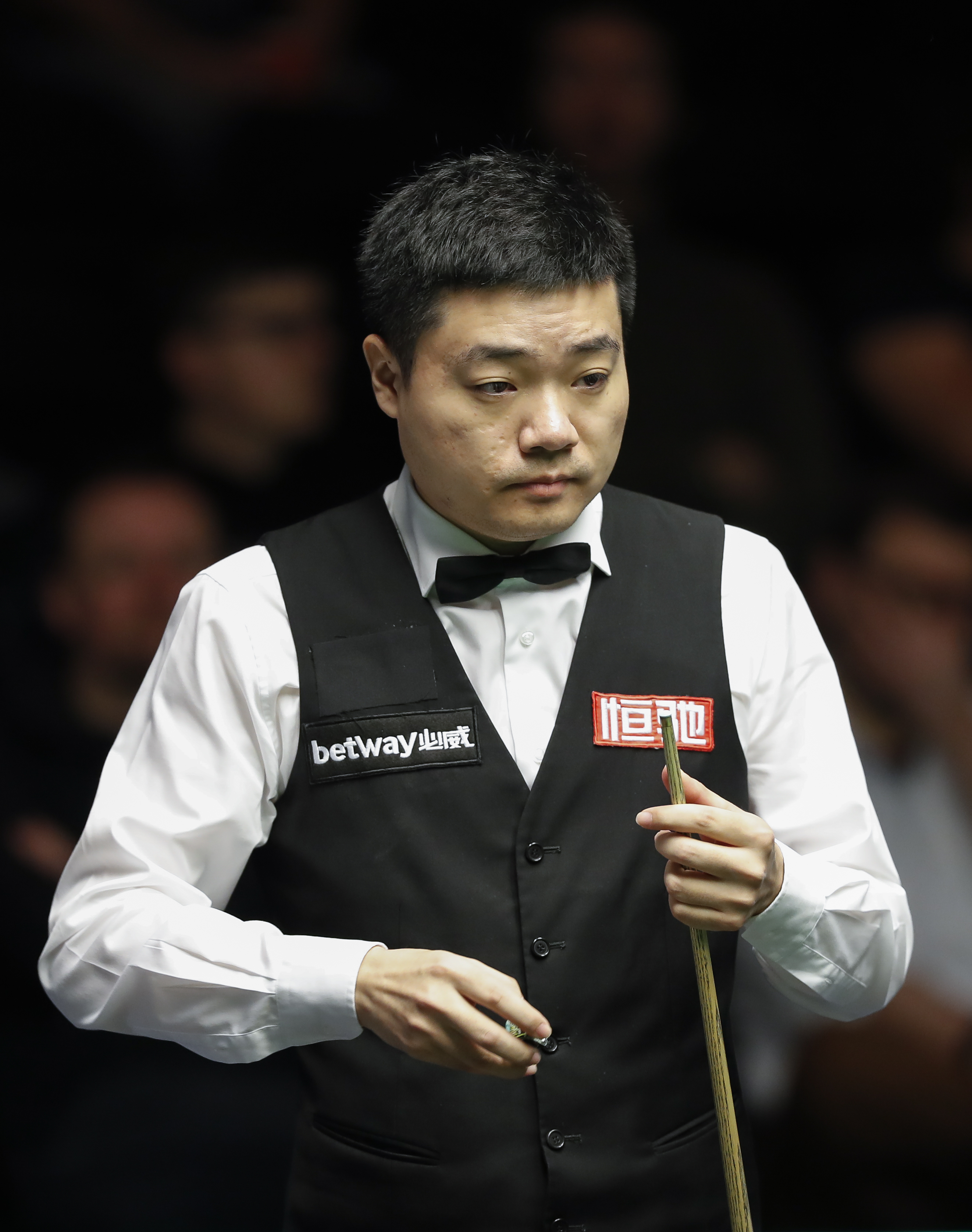 不仅展示了 不仅展示了