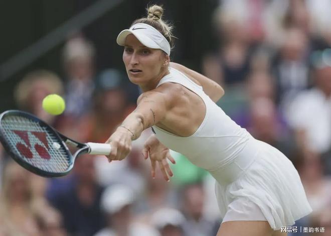 给我们呈现 给我们呈现