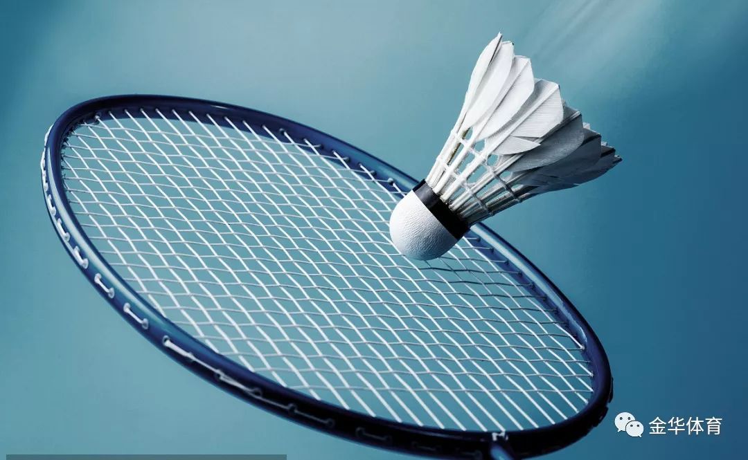 乓球与娱乐 乓球与娱乐