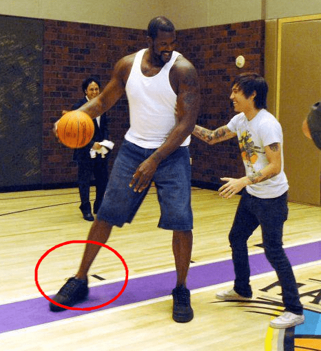 破绽捕捉 破绽捕捉